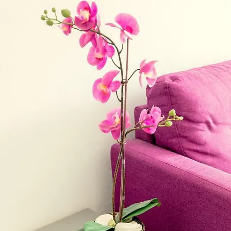 Savvas Centre Flat 아파트