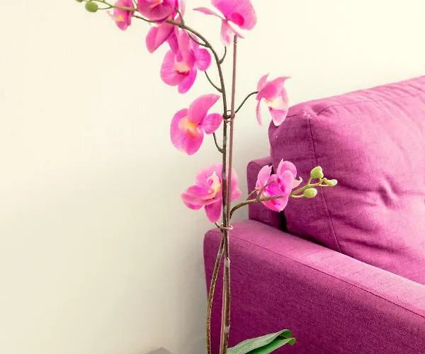 Savvas Centre Flat Apartment